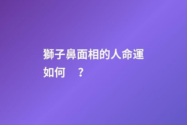 獅子鼻面相的人命運如何？
